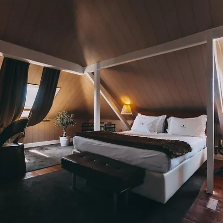 Pensjonat Torel Palace 5*