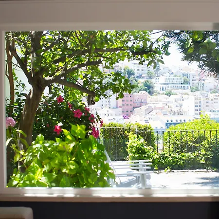 Torel Palace 게스트하우스