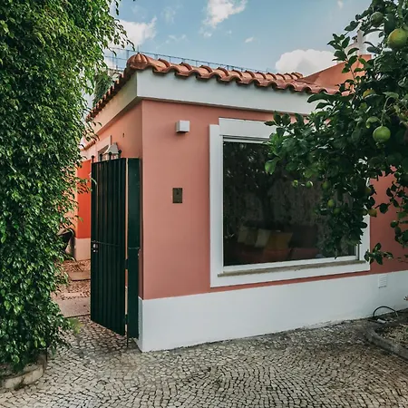Guest house Torel Palace